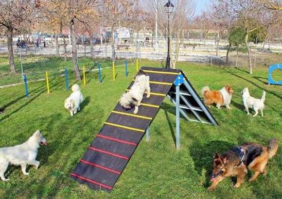 El parque de los perros